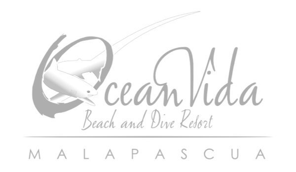 Ocean Vida Beach and Dive Resort