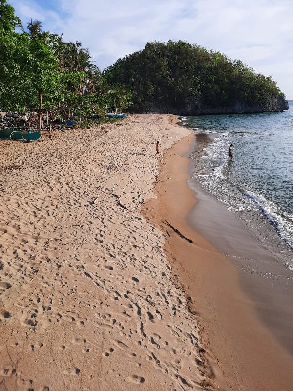Sea Explorers Sipalay