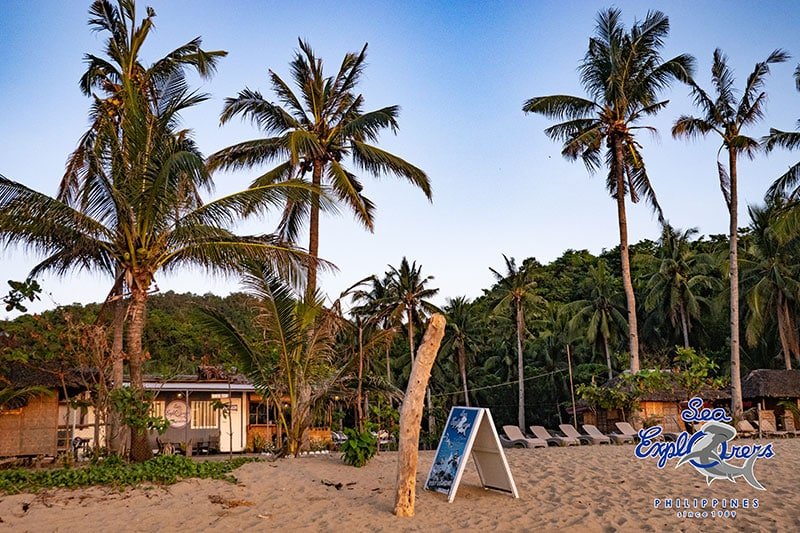 sipalay beach sand view